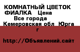 КОМНАТНЫЙ ЦВЕТОК -ФИАЛКА › Цена ­ 1 500 - Все города  »    . Кемеровская обл.,Юрга г.